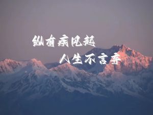 B站评论采集+私信截留发送-轻创可行社