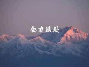抖音小圆码，引流私域必备神器，终端拿货渠道。-轻创可行社